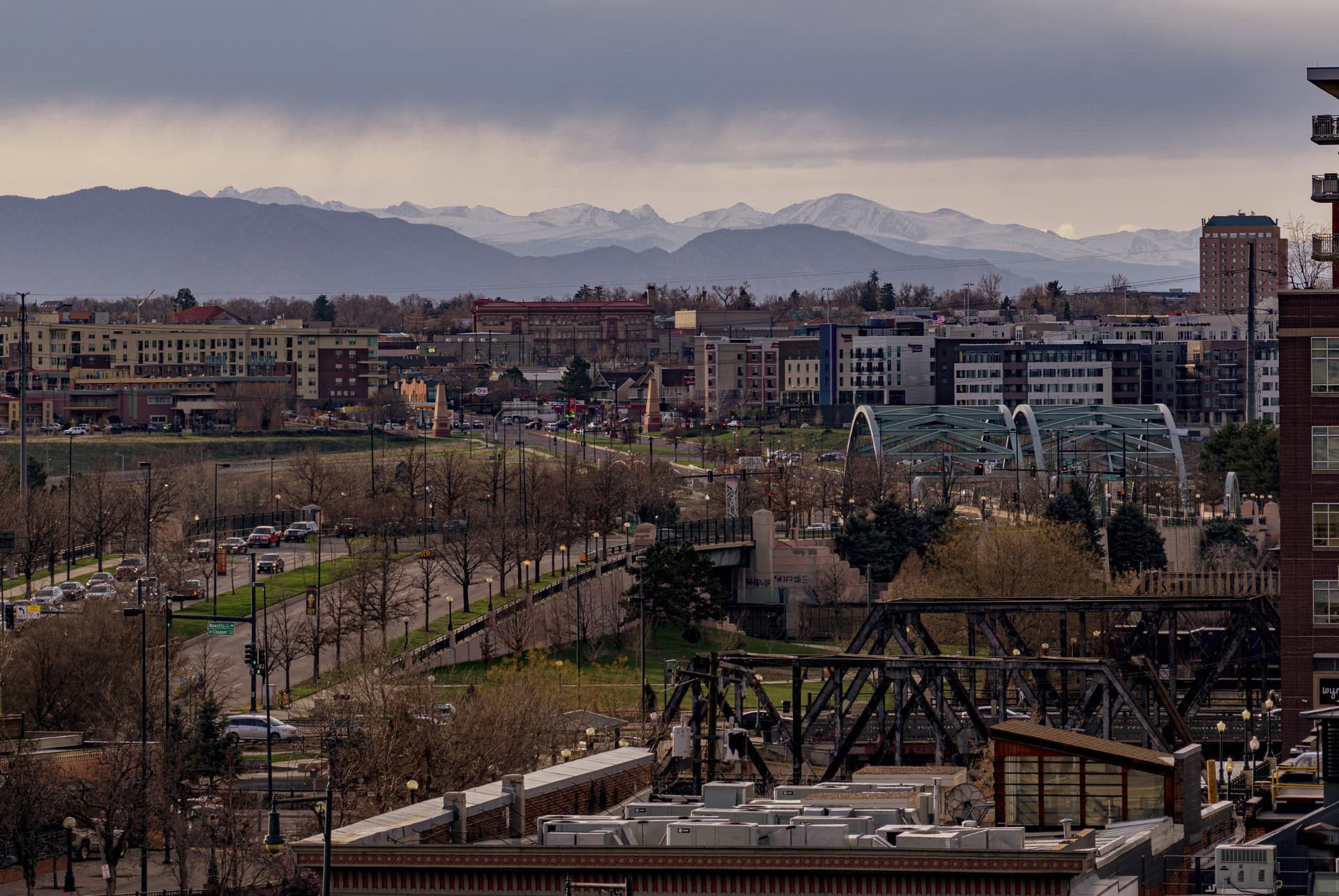 rino denver rino denver