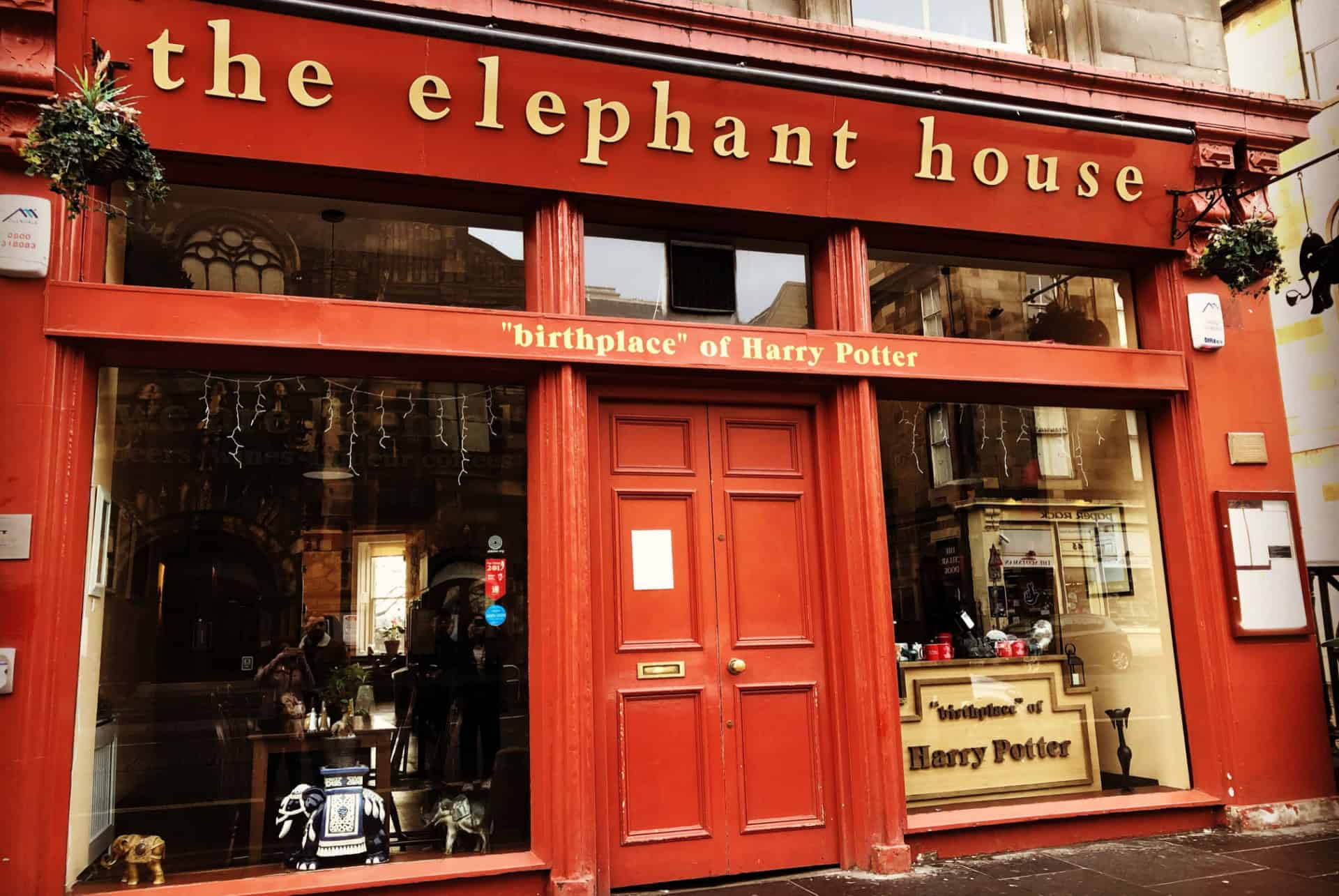 cafe the elephant house edimbourg