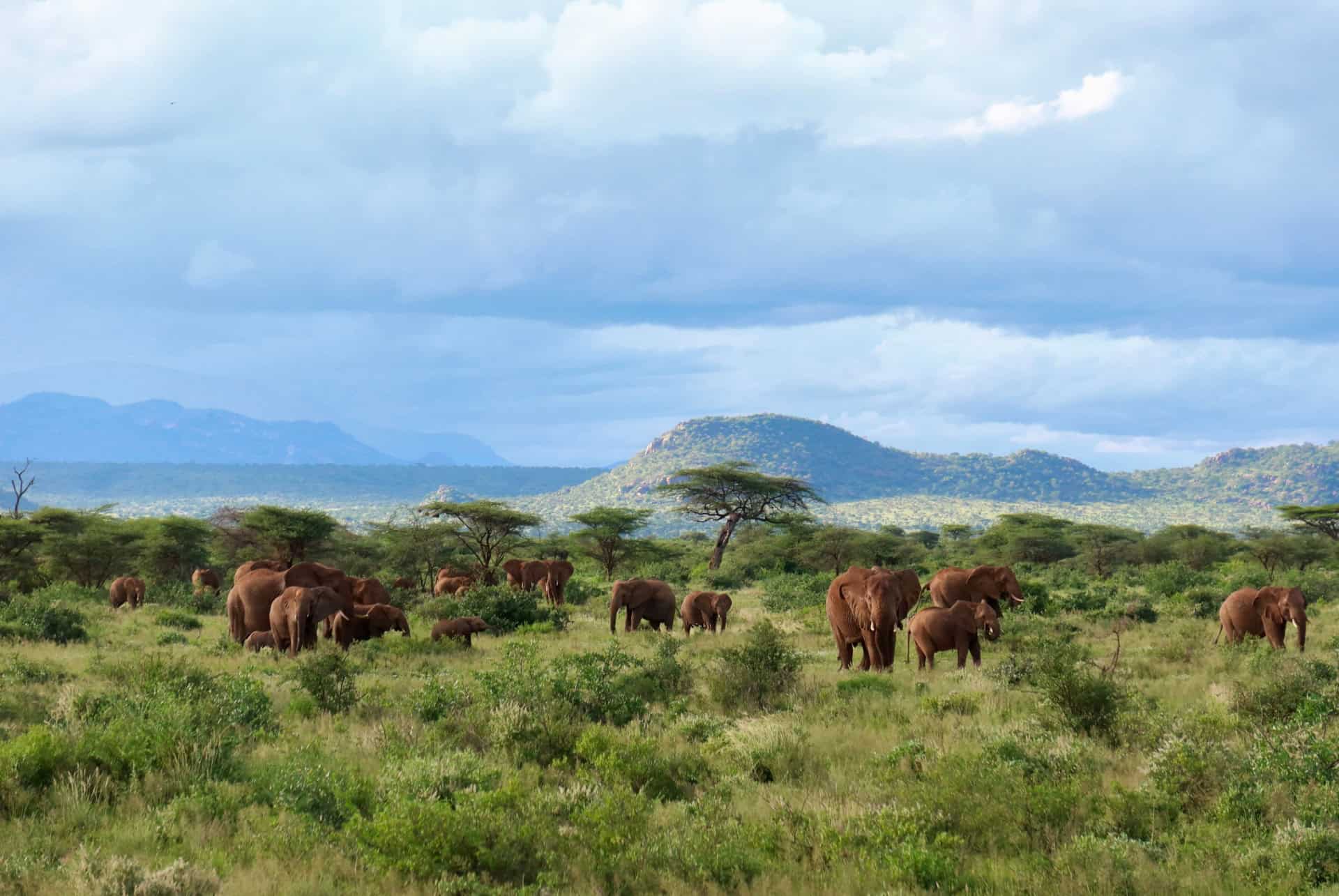la reserve nationale de samburu la reserve nationale de samburu