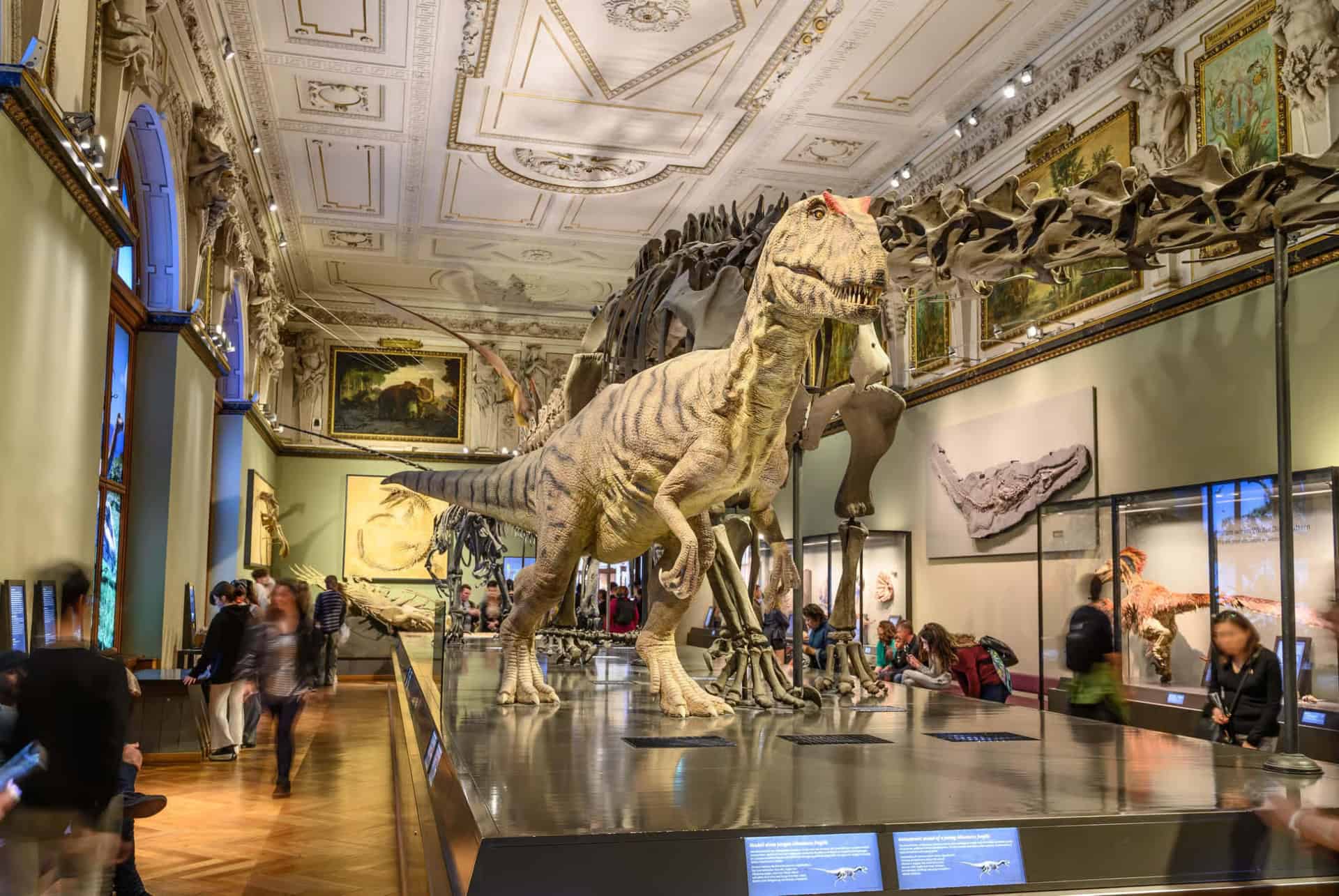 musee histoire naturelle vienne musee histoire naturelle vienne