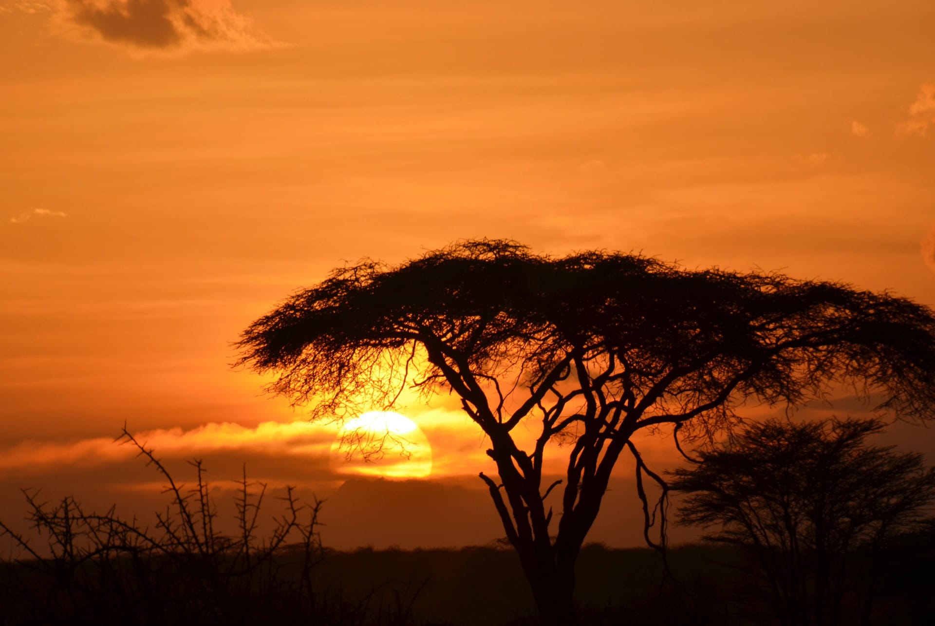 shaba reserve shaba reserve