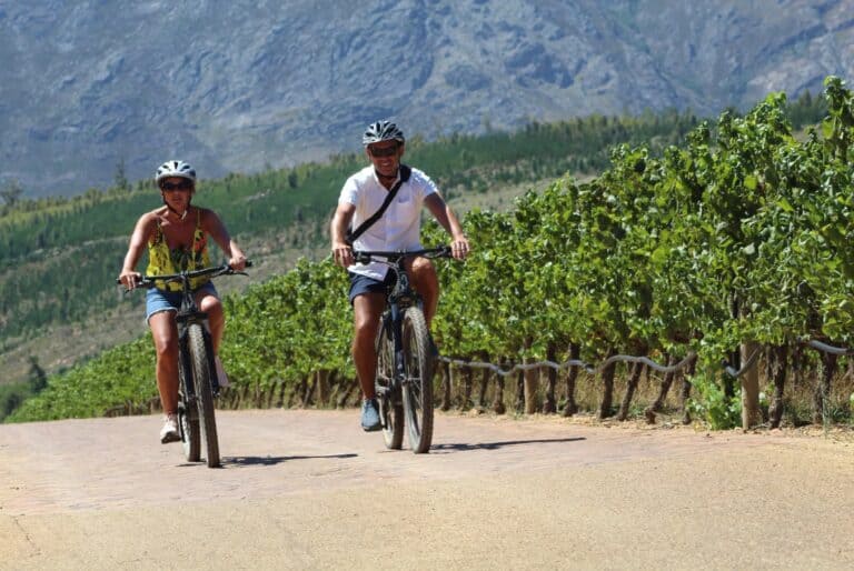 Visite guidée des vignobles en E-Bike