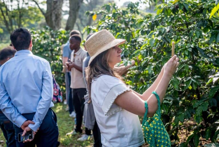 Visite d'une ferme de café