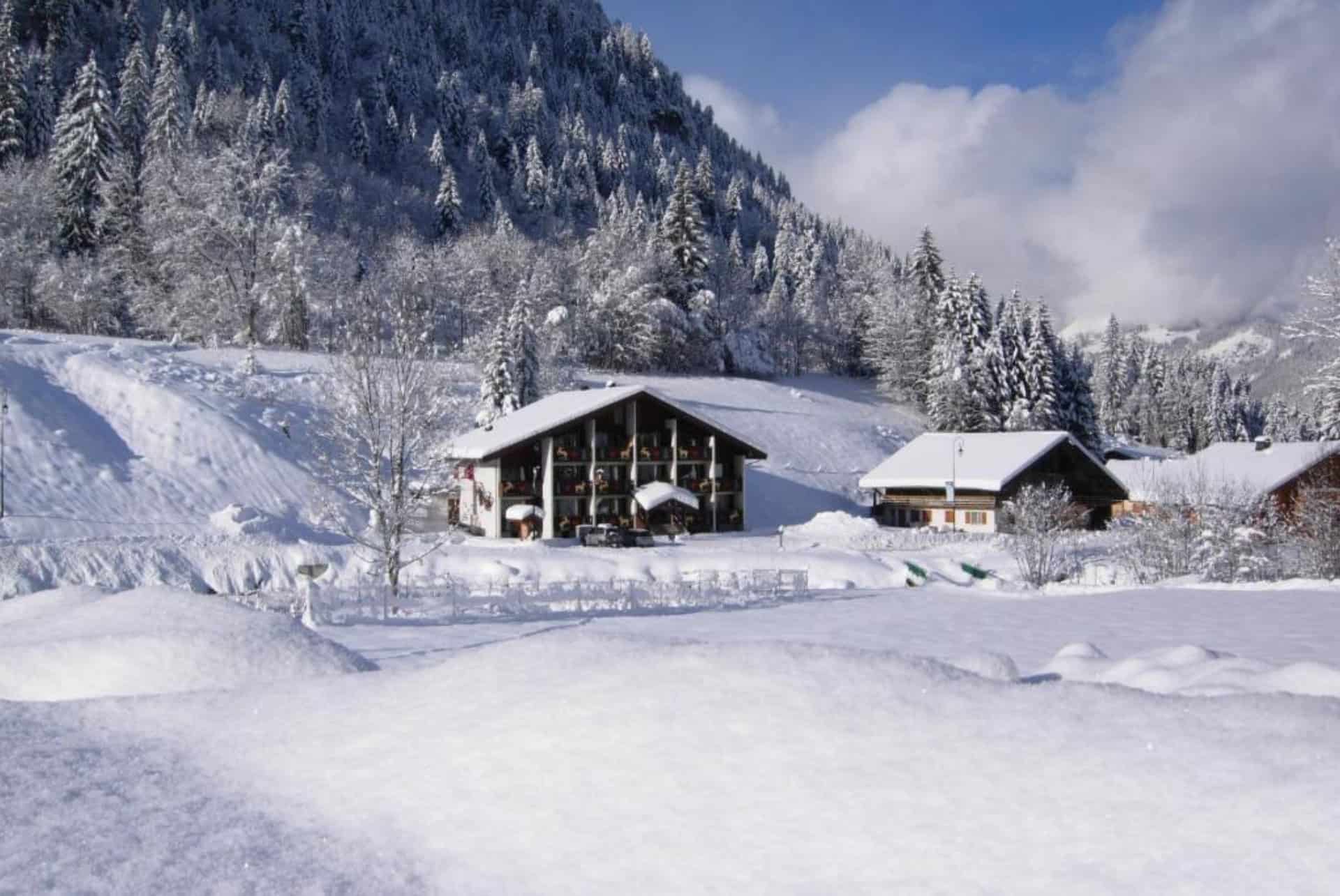 au bois de lune au bois de lune