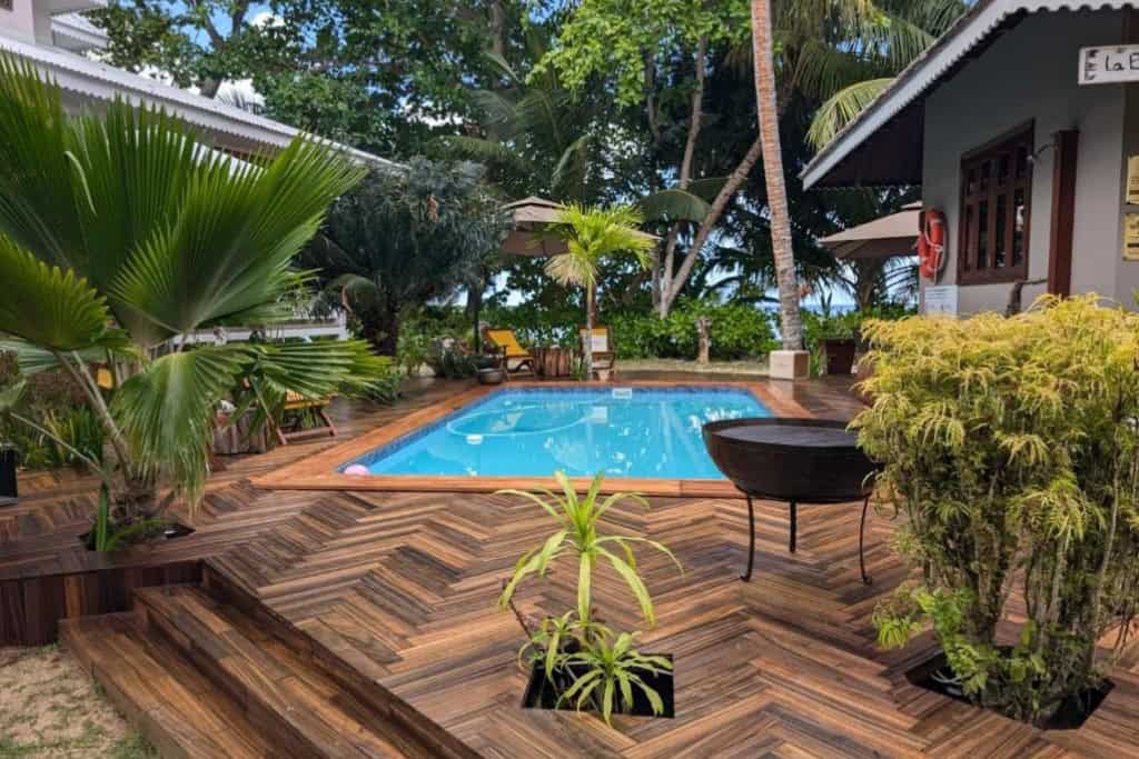 la belle tortue la belle tortue