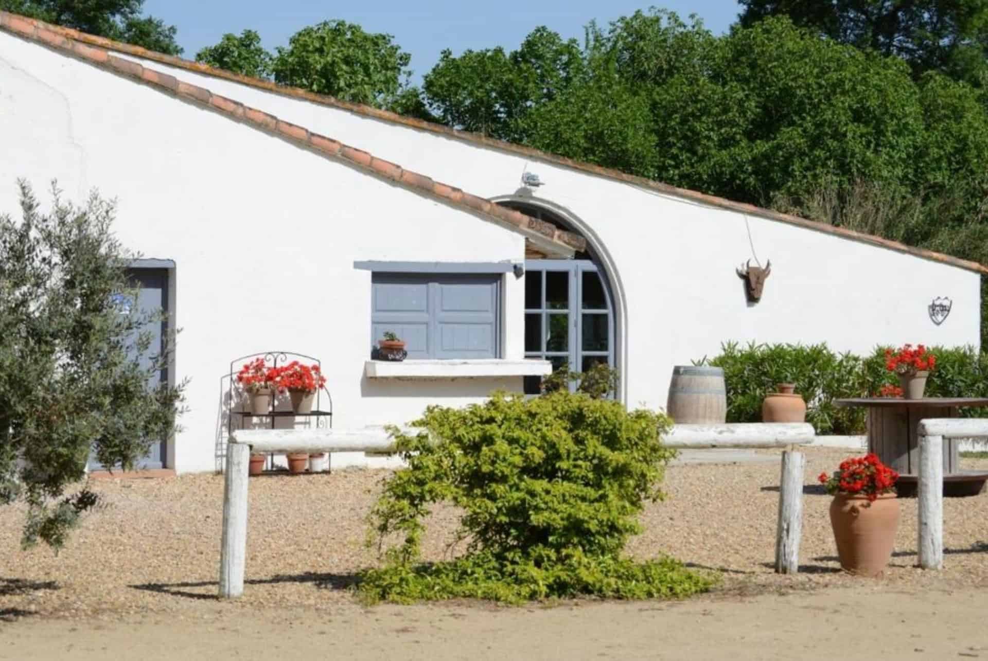 mas du menage camargue