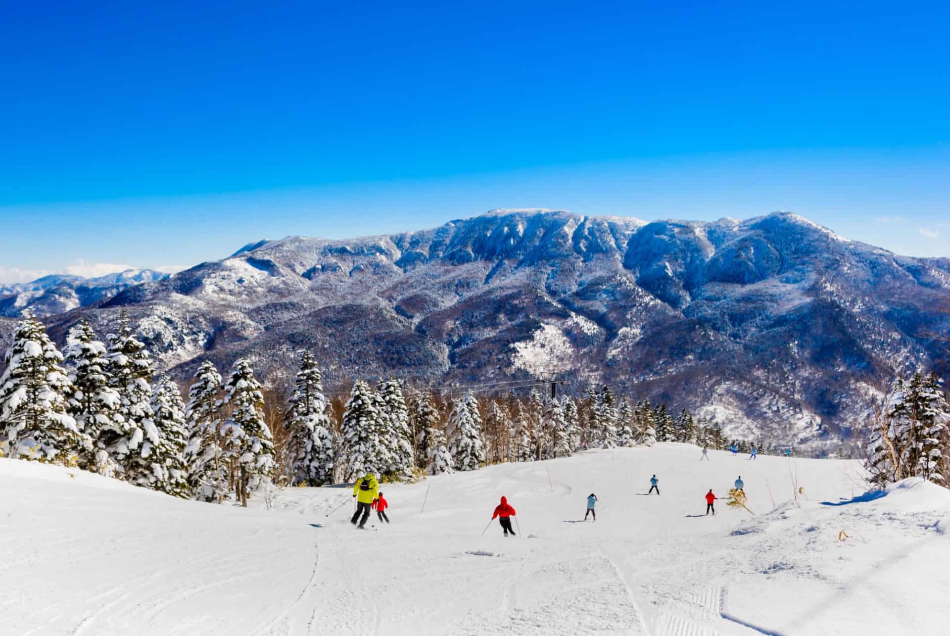 ski shiga kogen japon janvier ski shiga kogen japon janvier