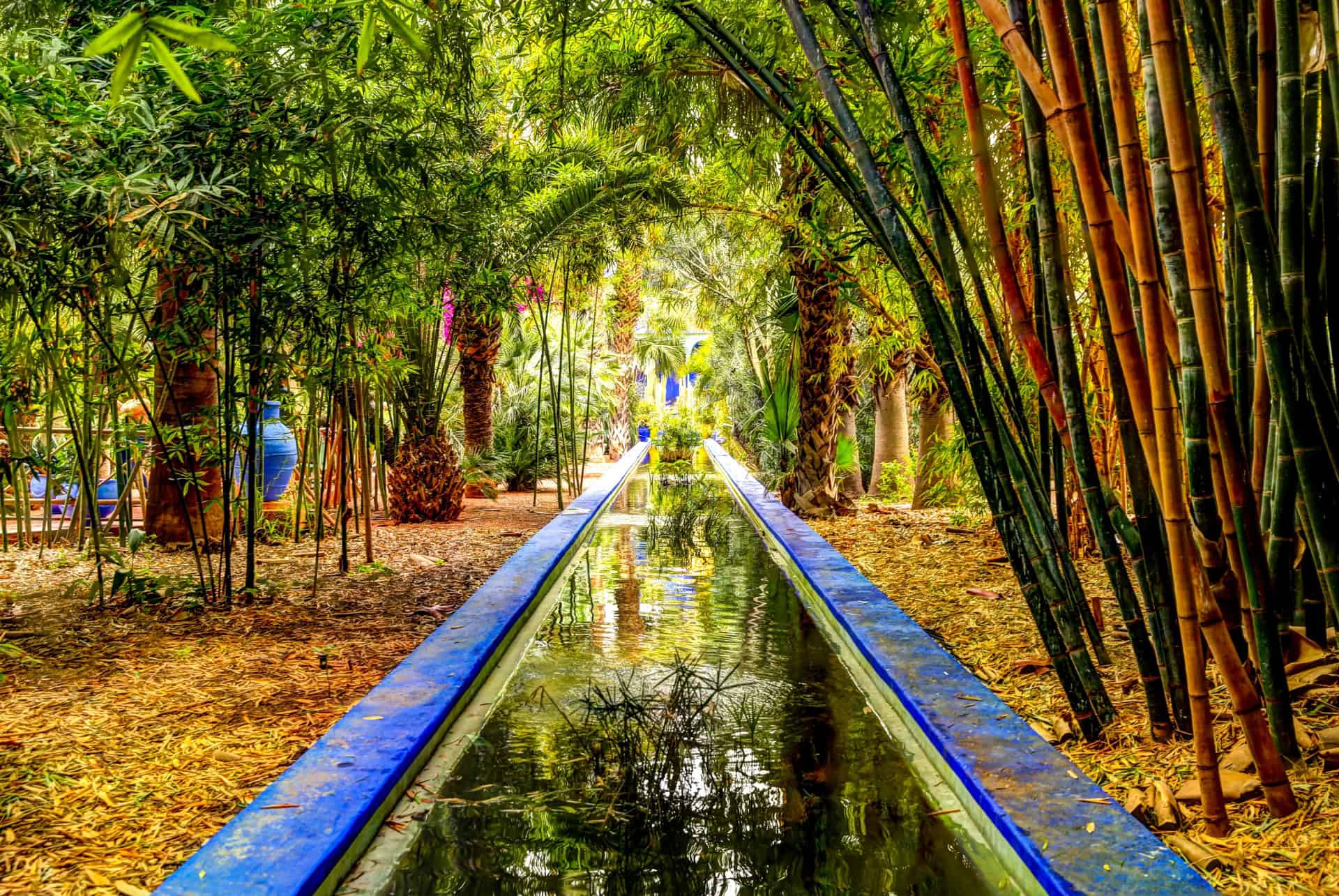 jardin majorelle jardin majorelle