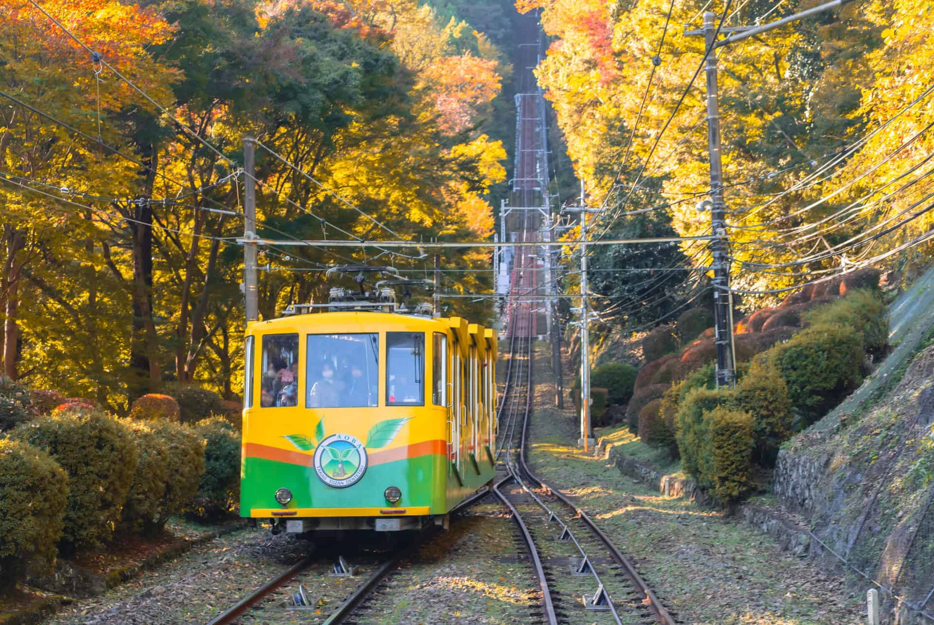 mont takao mont takao