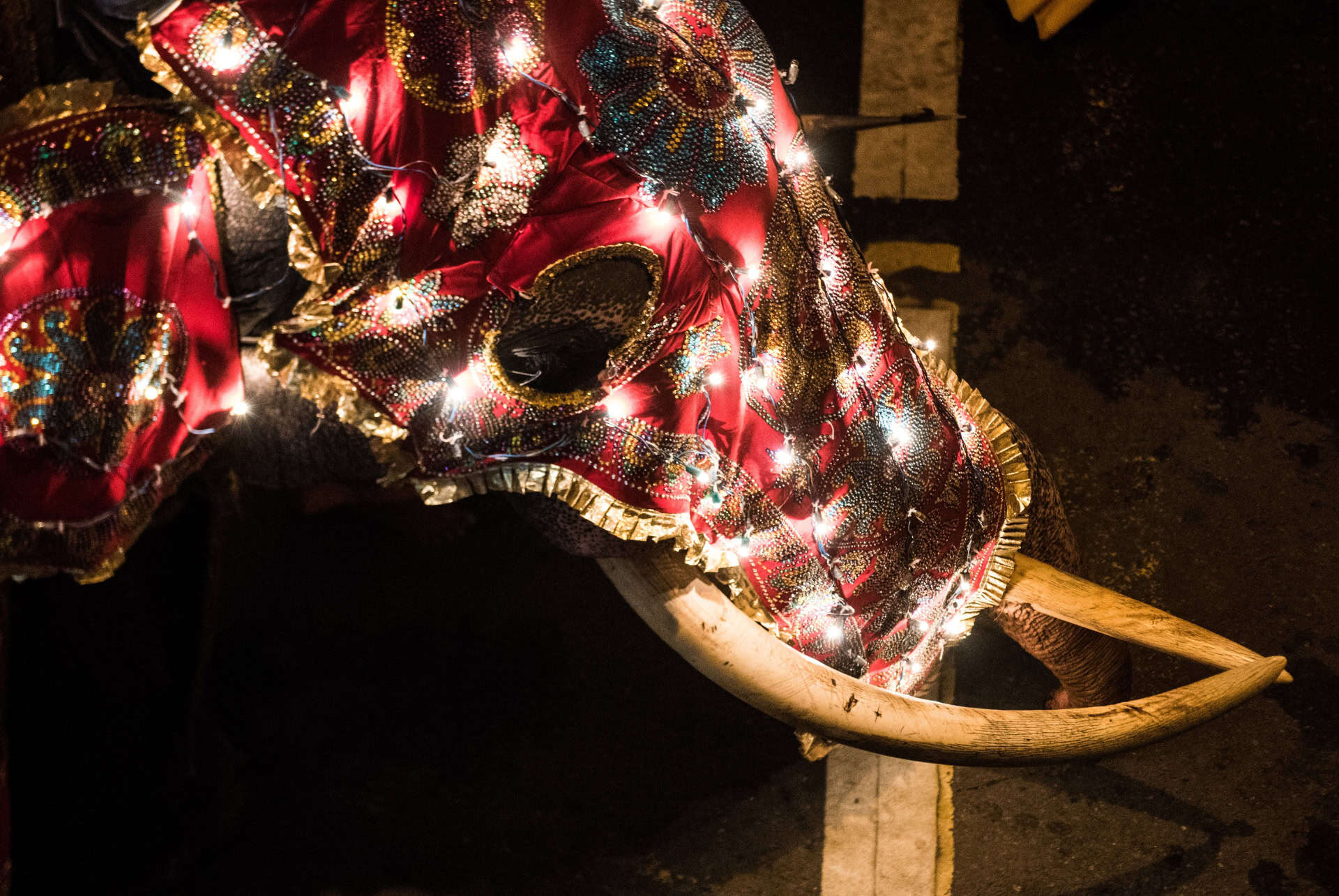 navam perahera sri lanka en fevrier navam perahera sri lanka en fevrier