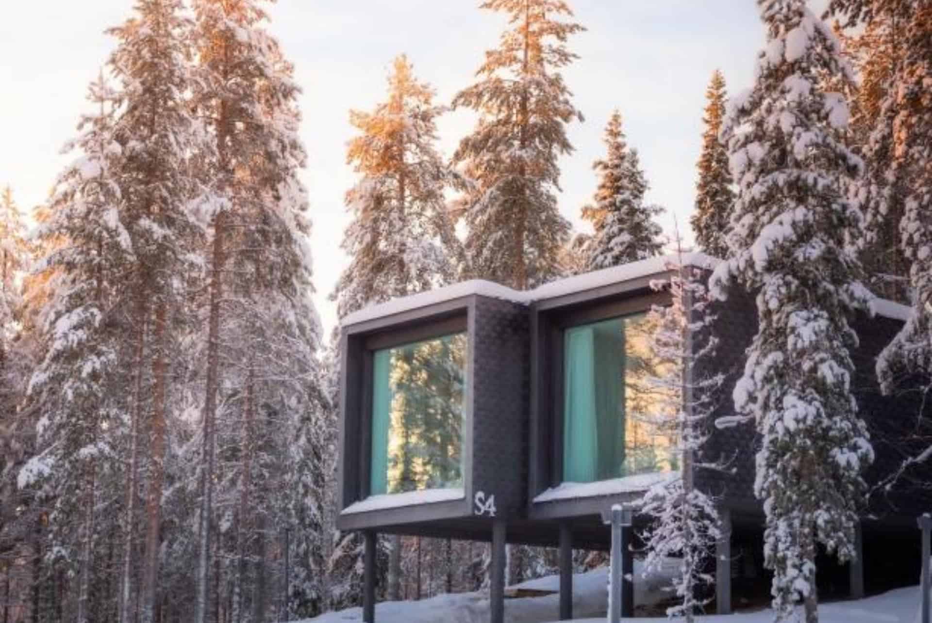 treehouse hotel treehouse hotel