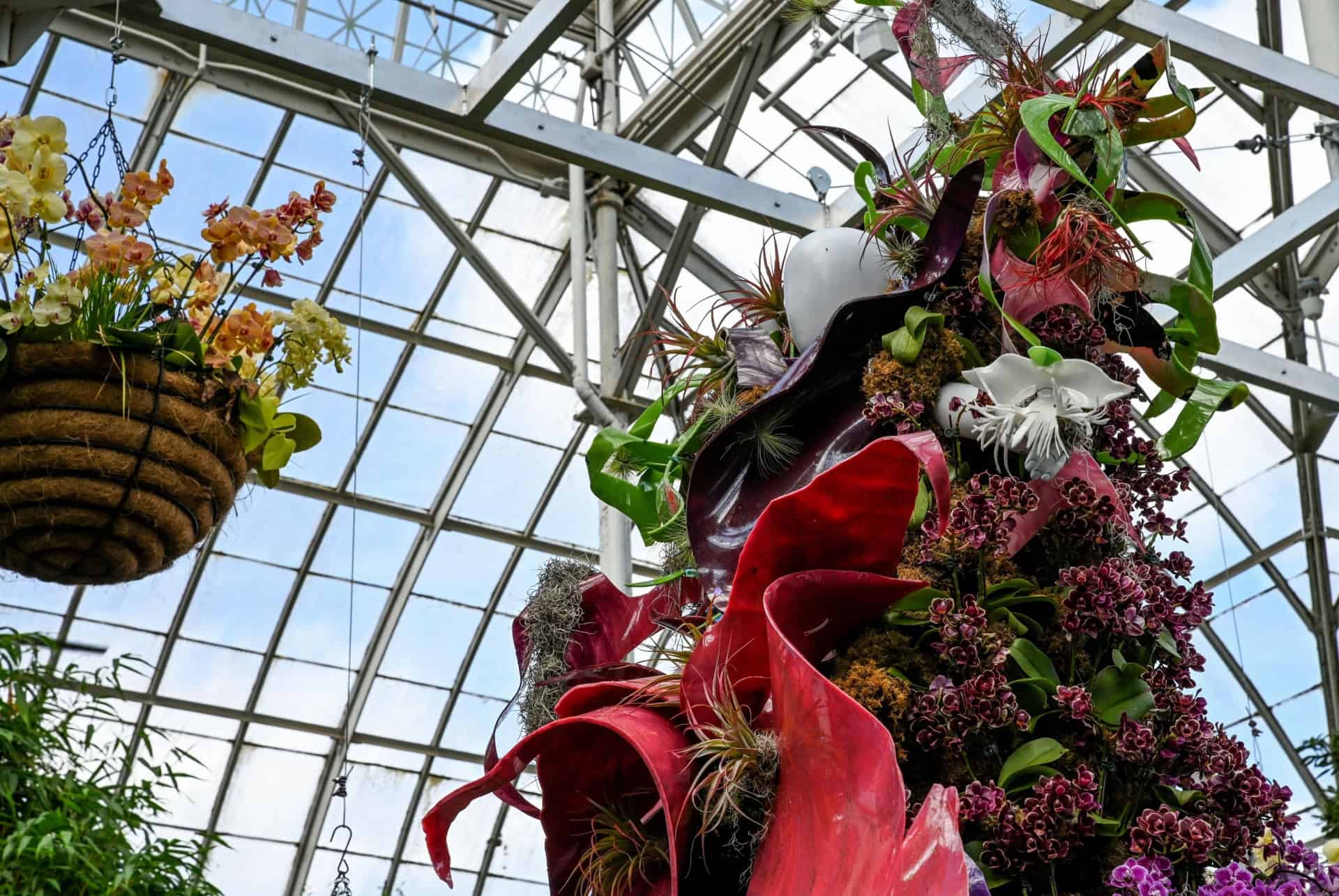 new york botanical gardens the orchid show new york botanical gardens the orchid show