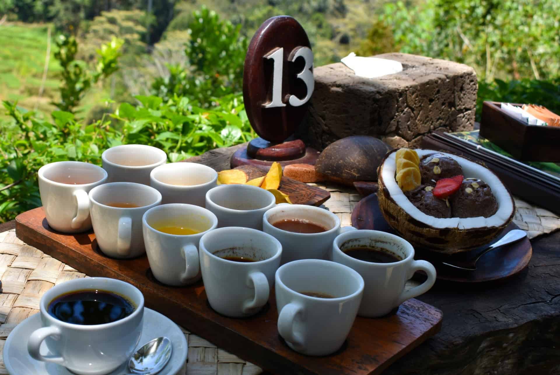 bali purina bali purina