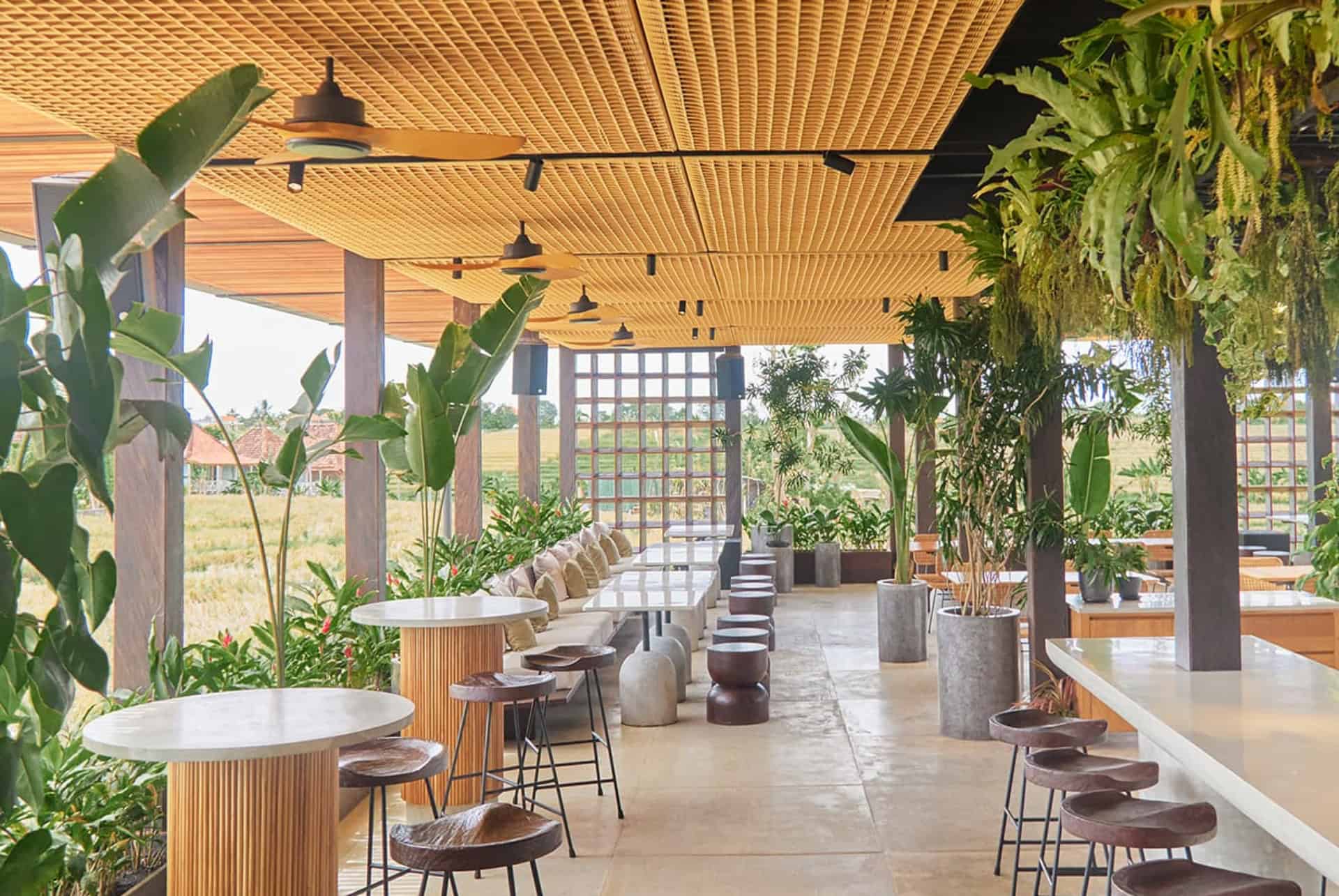 beach club le bajo beach club le bajo