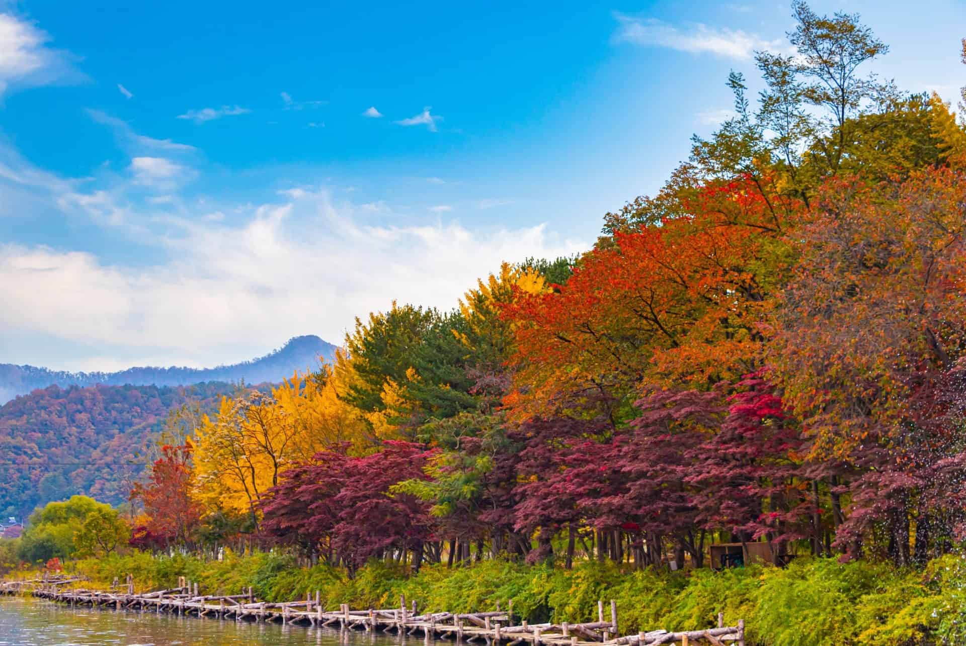 ile nami que faire coree du sud ile nami que faire coree du sud
