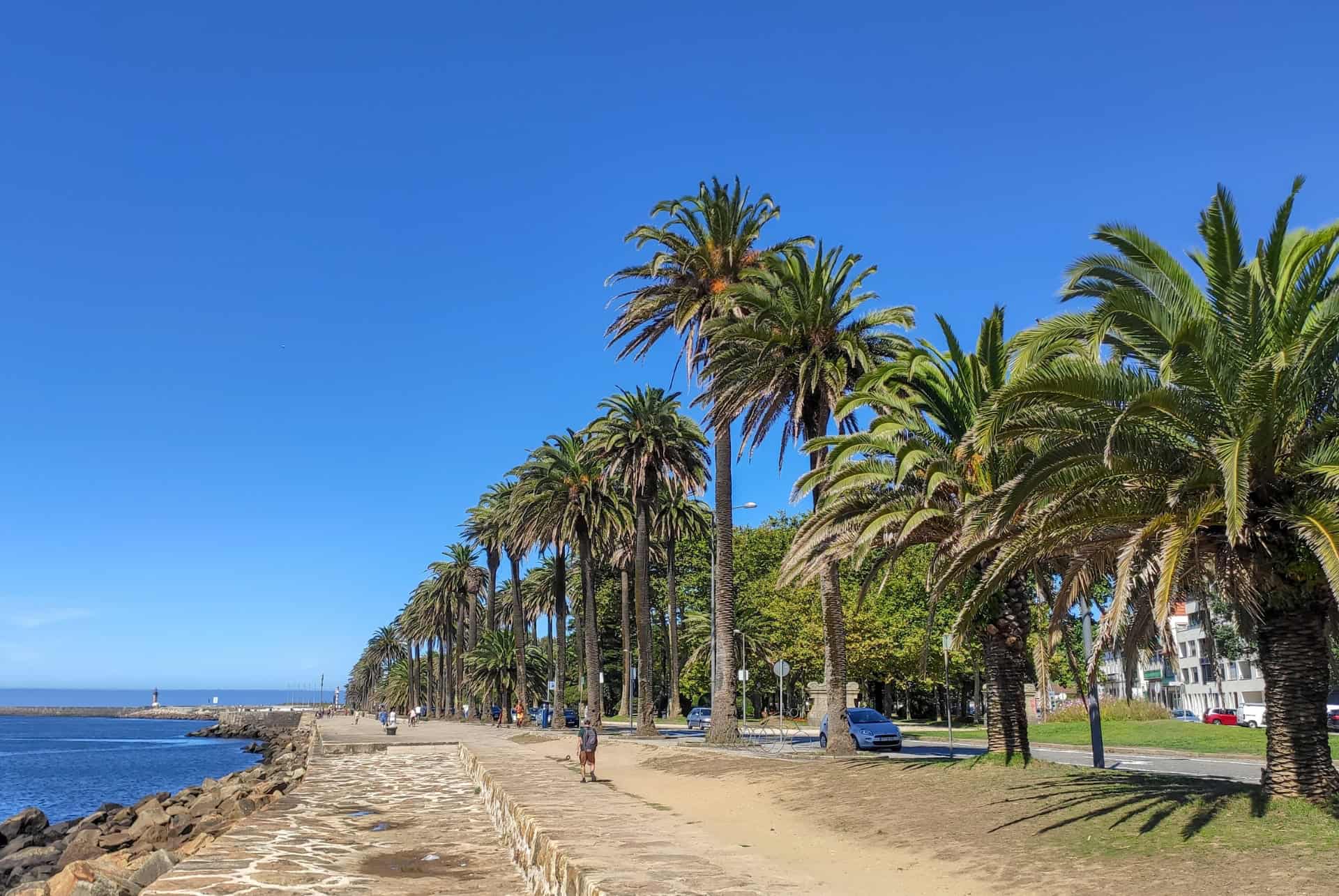 foz do douro porto foz do douro porto