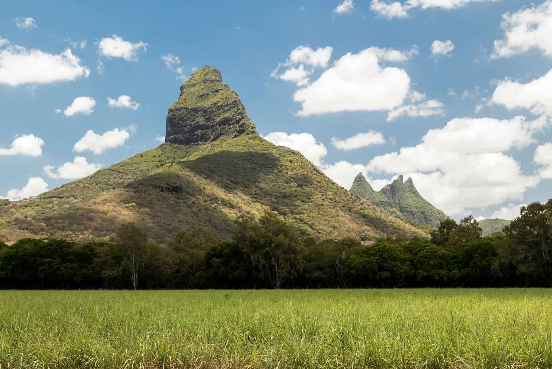 piton riviere noire piton riviere noire