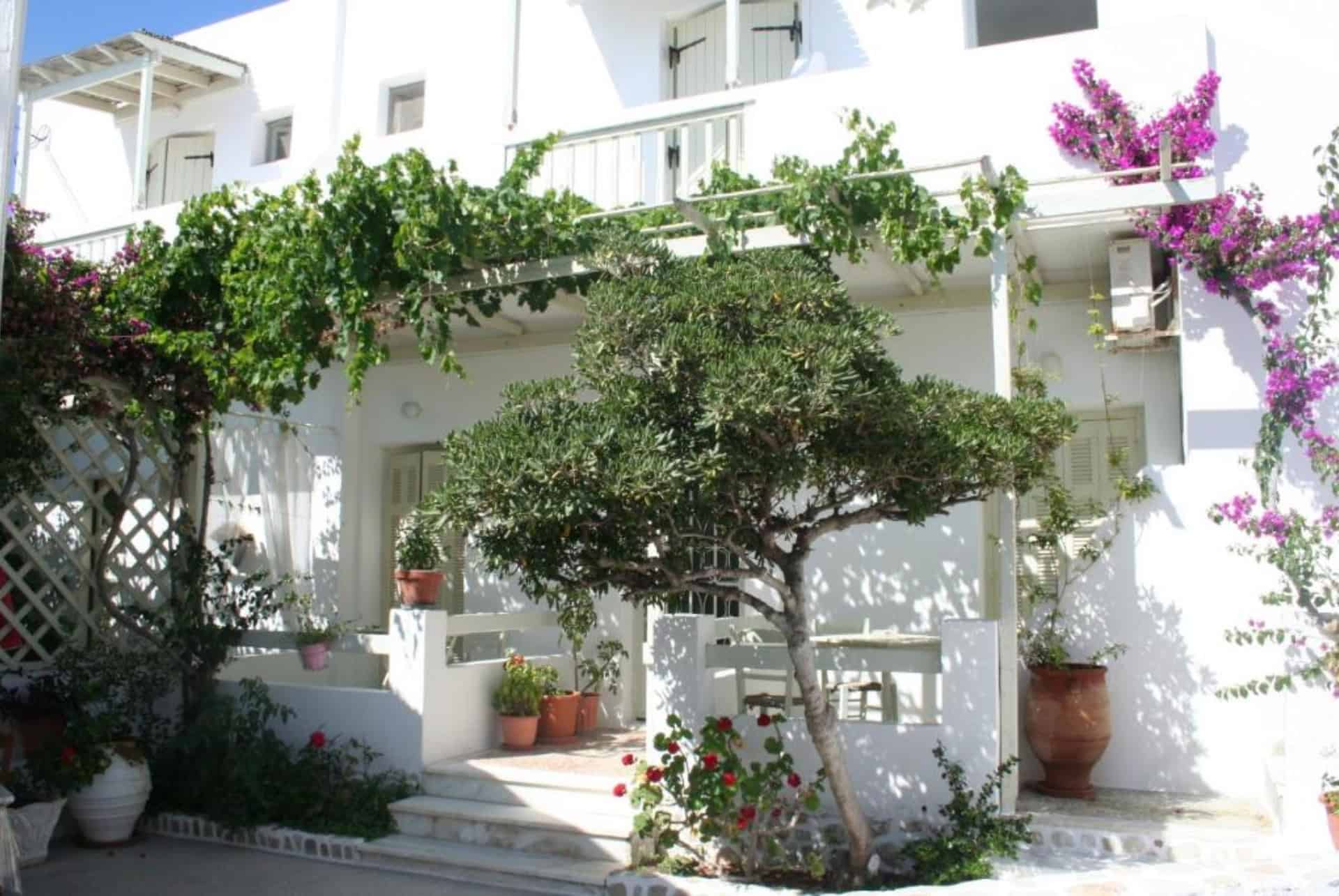 korali hotel antiparos korali hotel antiparos