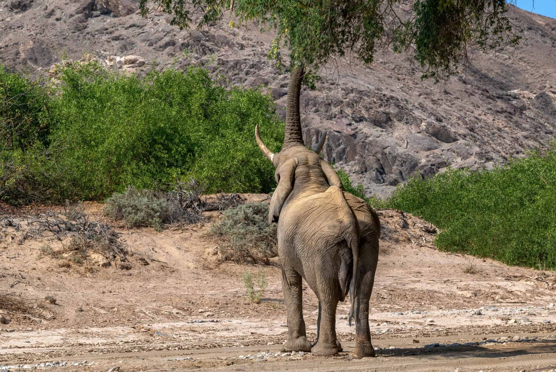 damaraland damaraland
