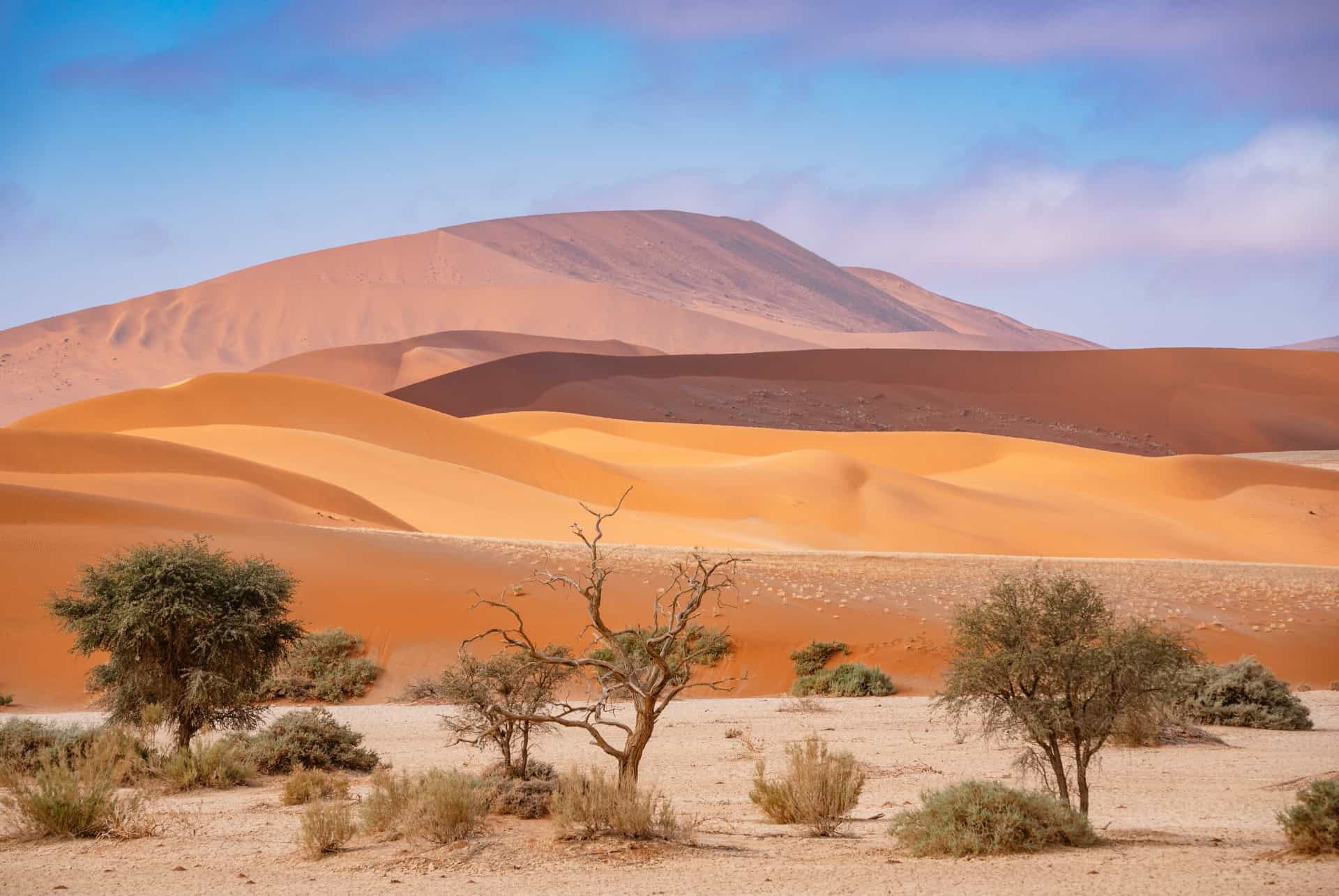 parc national namib naukluft parc national namib naukluft