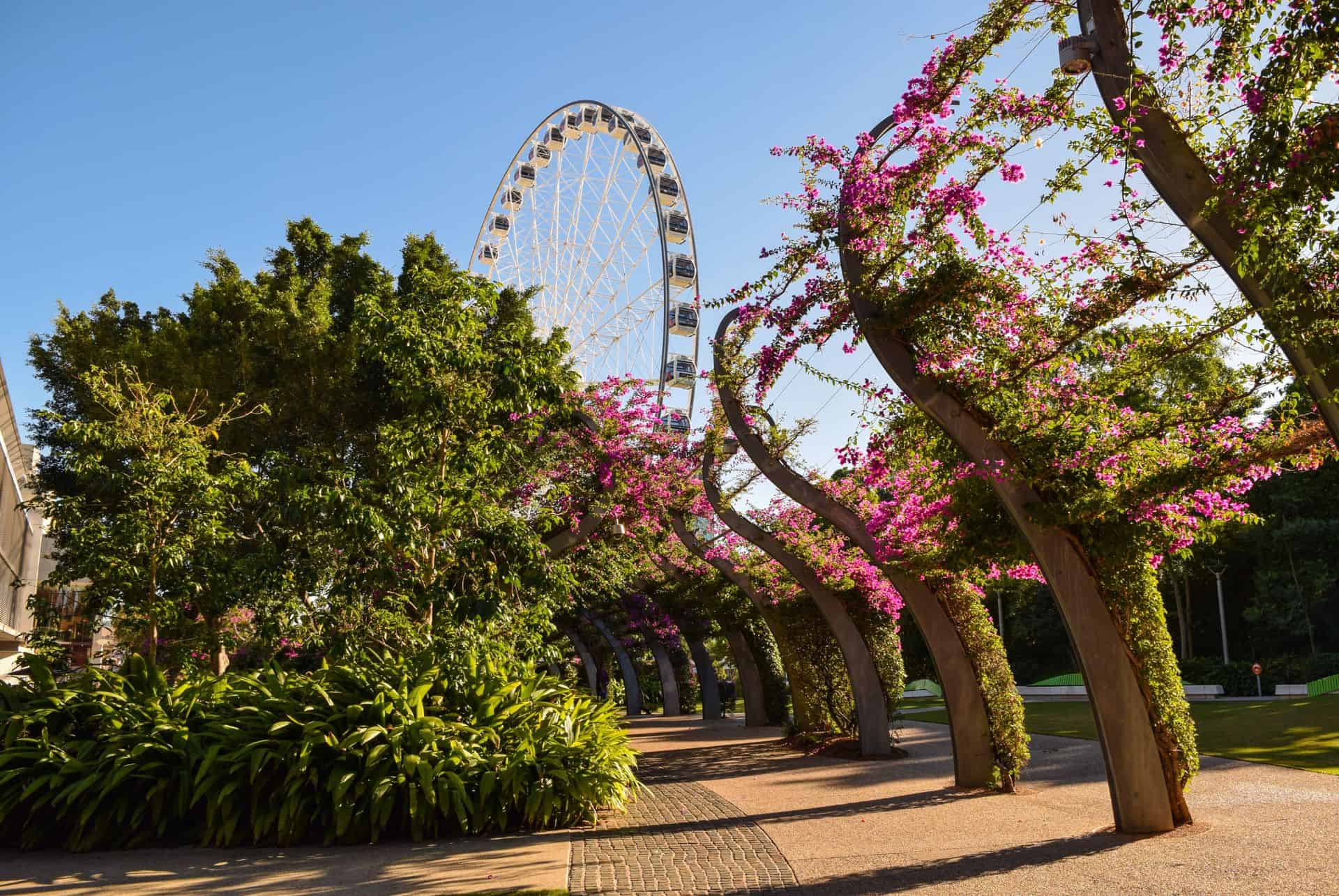 south bank brisbane south bank brisbane