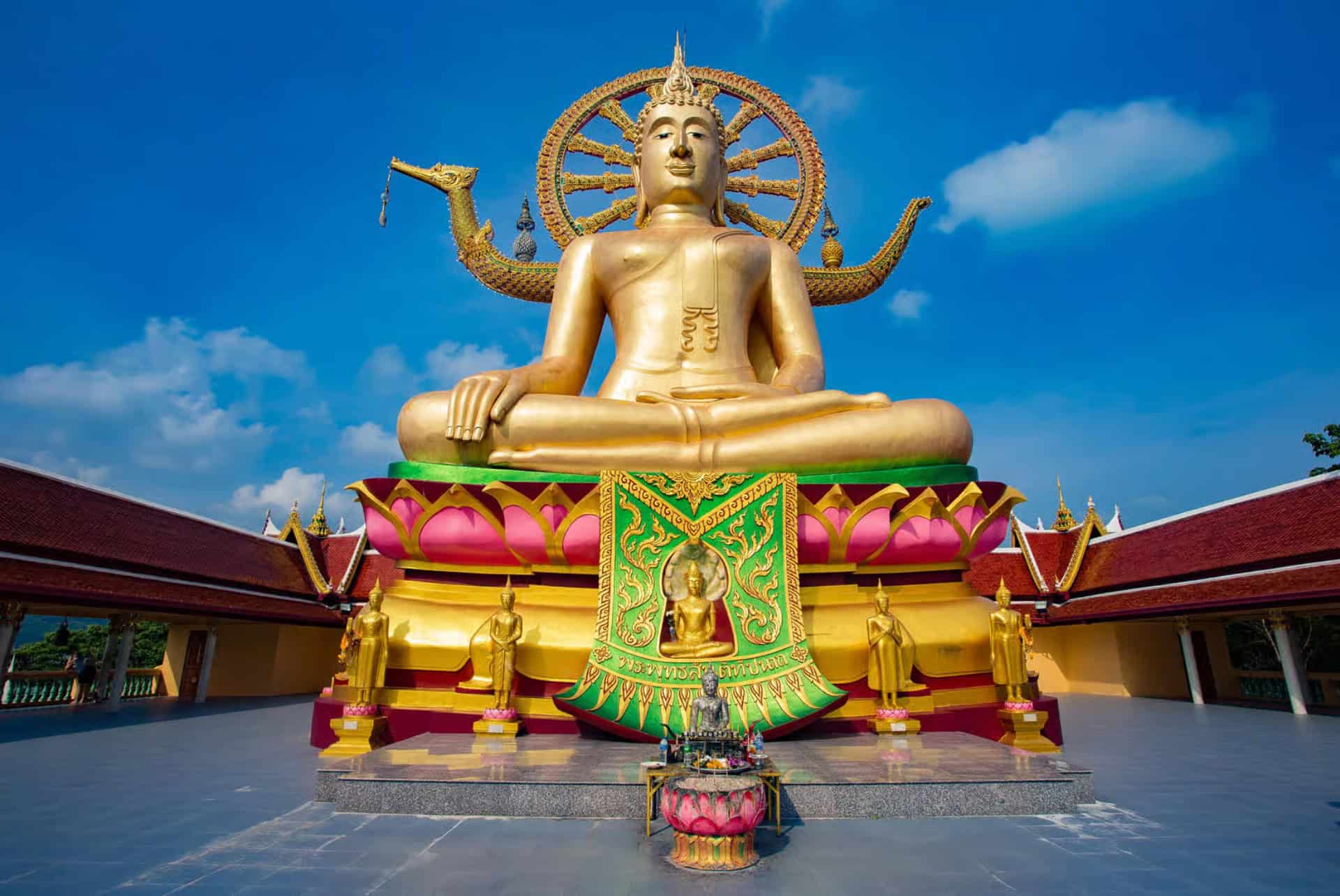 wat plai wat plai