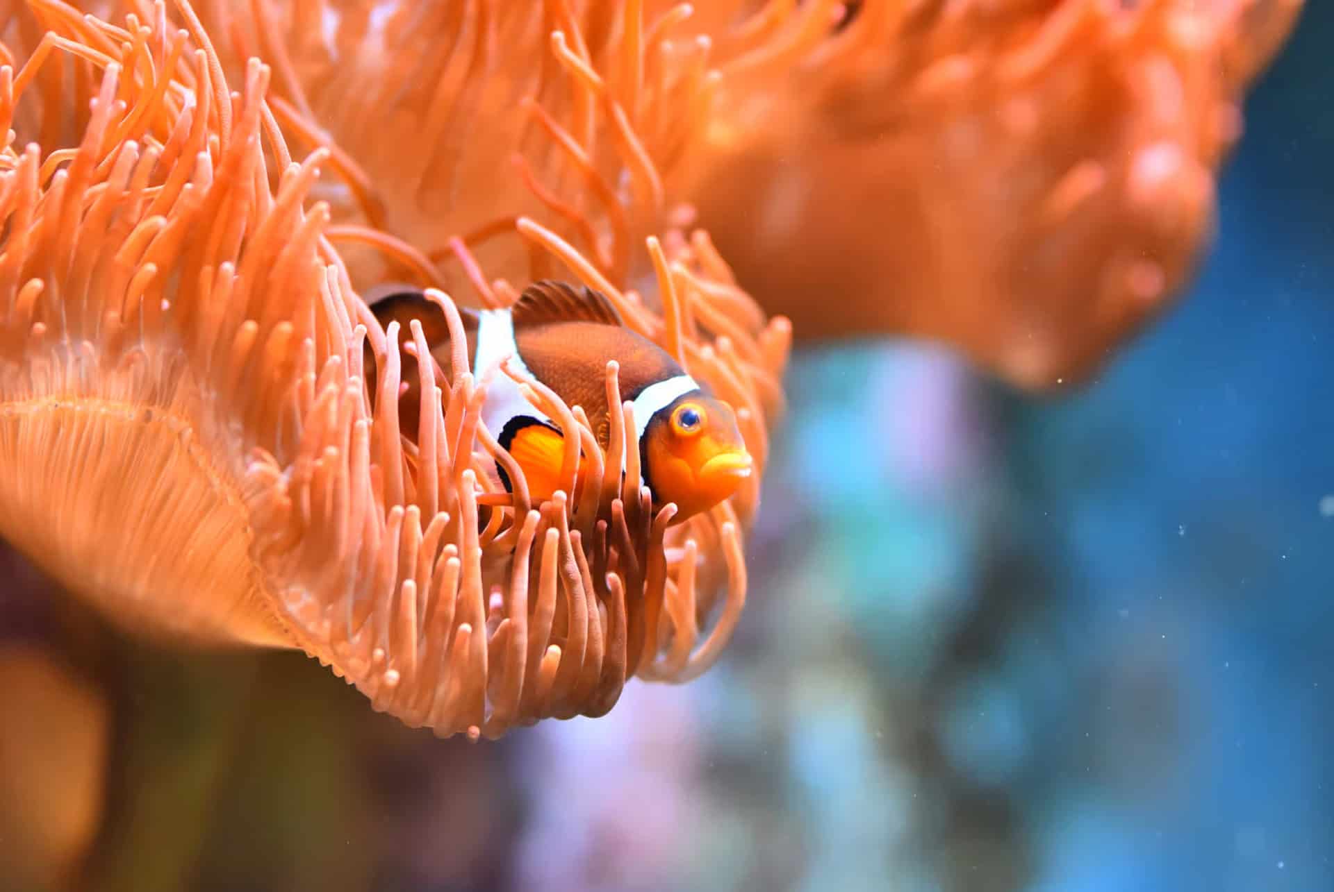aquarium de cologne aquarium de cologne