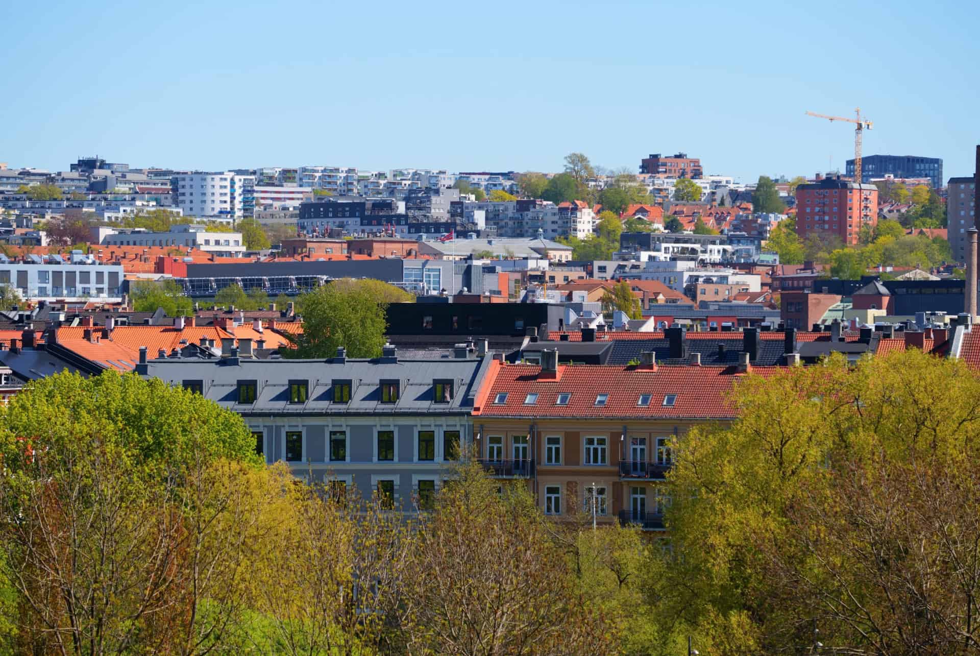 grunerlokka norvege grunerlokka norvege