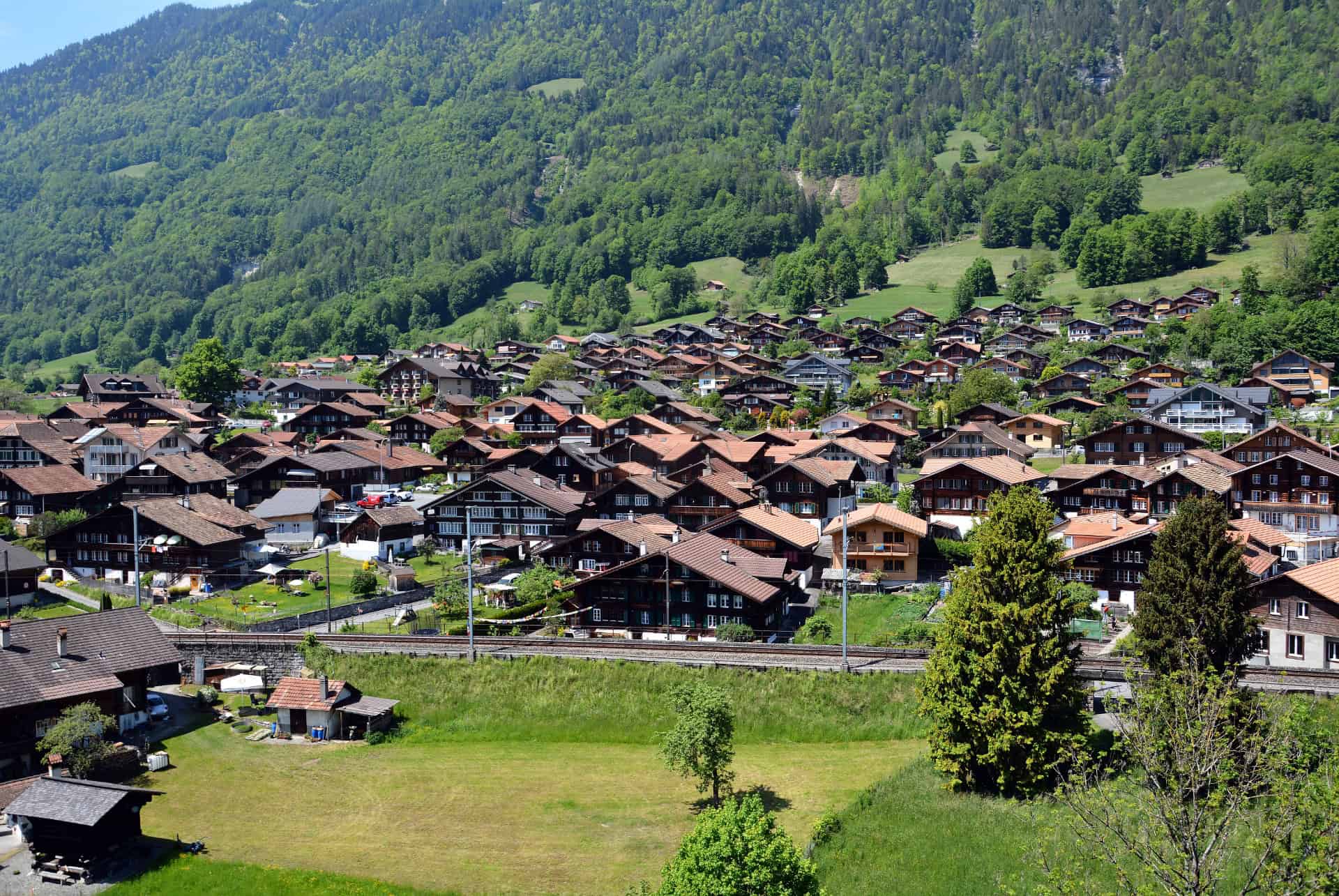 ringgenberg suisse ringgenberg suisse