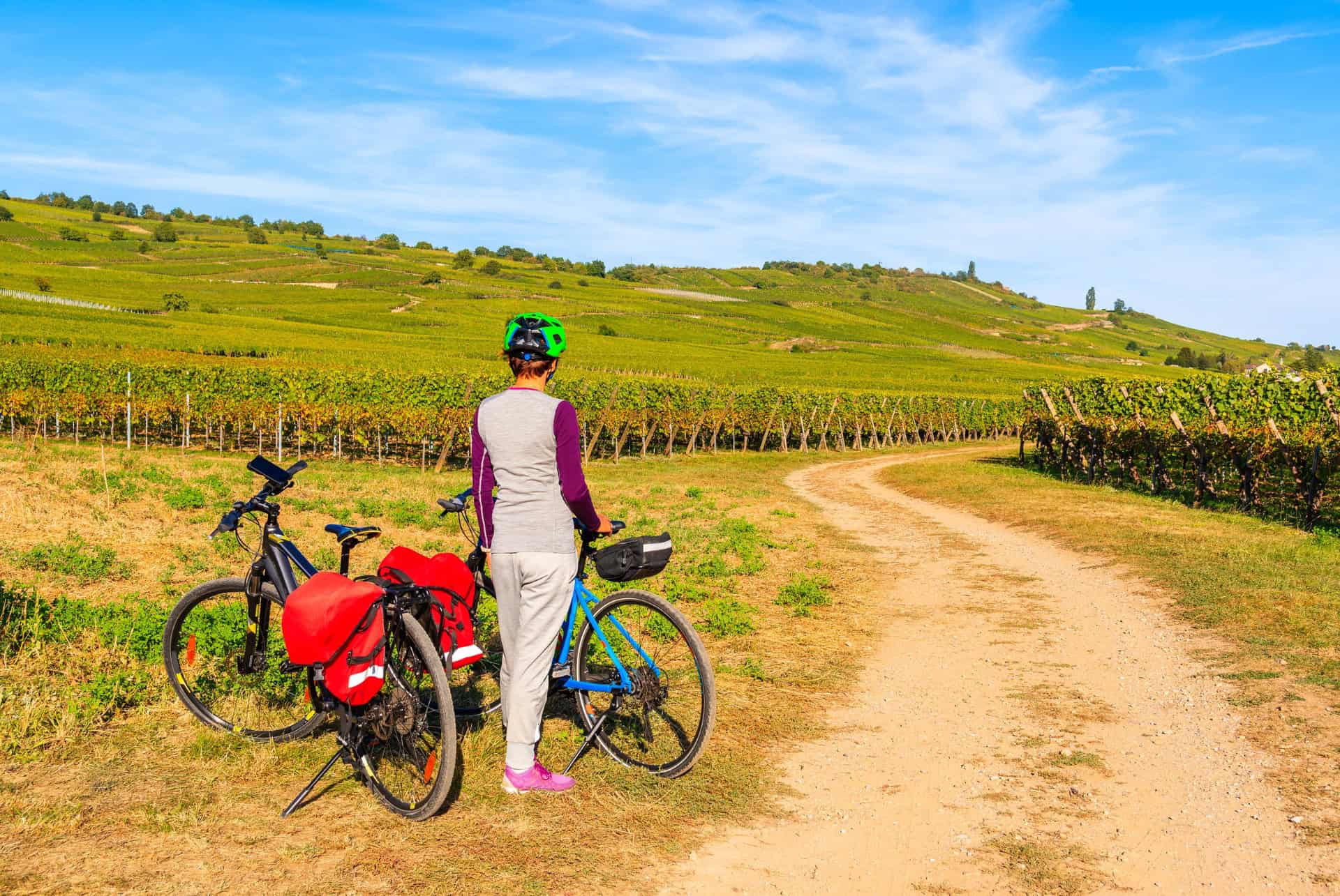 route des vins alsace a velo route des vins alsace a velo