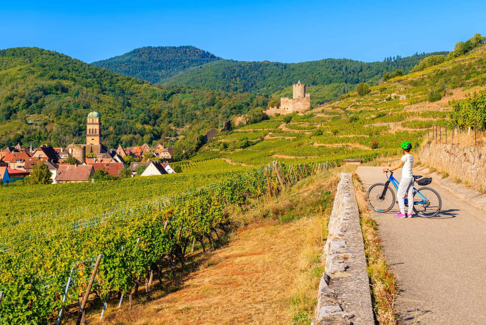 velo route des vins alsace velo route des vins alsace